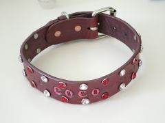 collar 1