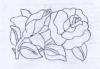 roses 01.jpg