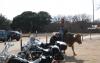 Riding_in_Texas.JPG