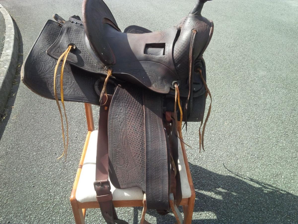 Help With Recondition - Saddle Identification, Restoration & Repair ...
