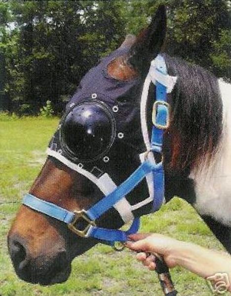 Horse Eye Patch - How Do I Do That? - Leatherworker.net