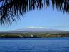 maunakea_snow_coconut_leaf.jpg