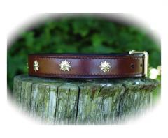 Decorated_Straight_Dog_Collar.jpg