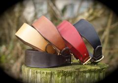 Whippet Collar