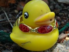 Croc Bracelet.JPG