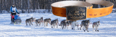 yvonne dabakk_belt for Iditarod finisher 2014