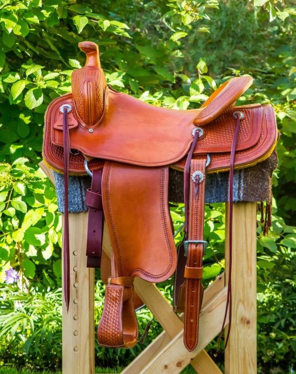 Saddle 2.JPG