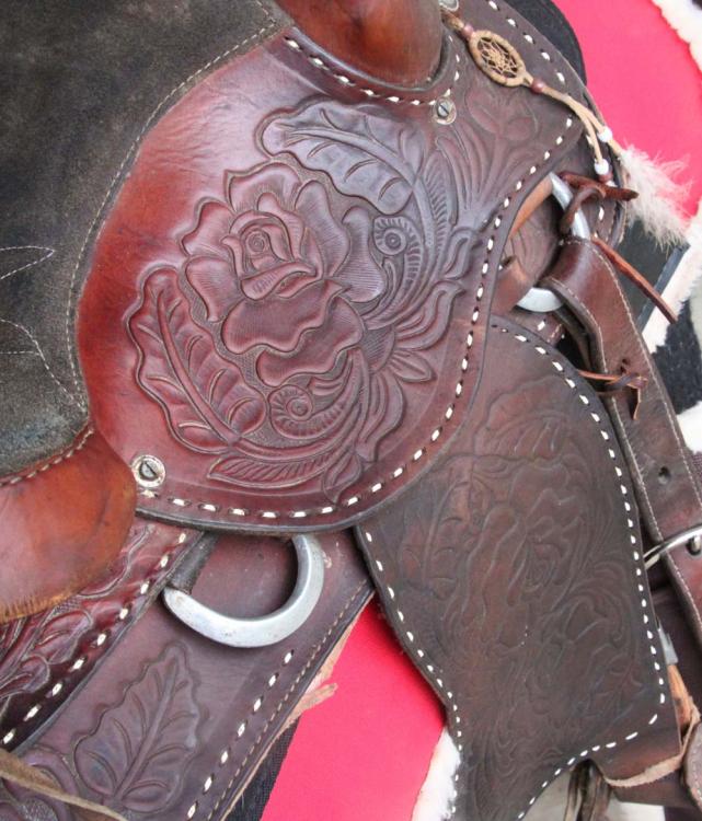 saddle2.jpg