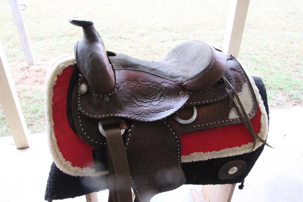 saddle4.jpg