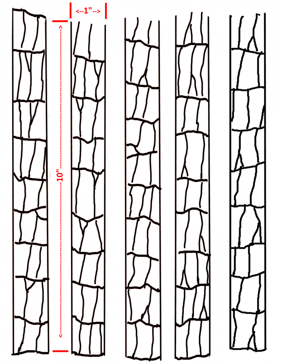 Croc Tracing Pattern.png