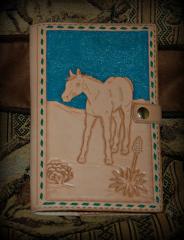 DSC-0001.JPGFoal notebook