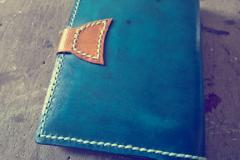 passport holder for frequent travelers