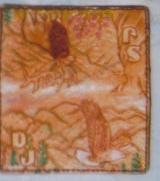 checkbook5b.jpg