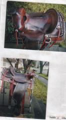resaddle3yr1999.jpg