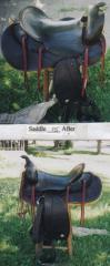 resaddle5yr1999.jpg