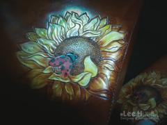 IMG_20170225_151757.jpg