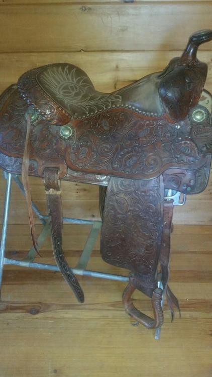 Ryon Saddle2.jpg