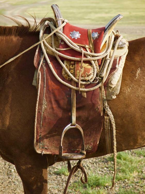 mongol saddle 1.jpg