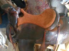 Saddle reseat.jpg