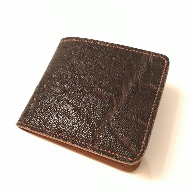 ElephantBifold.jpg