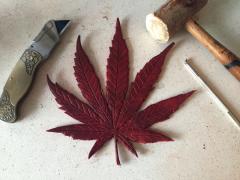 Red Marijuana Leaf