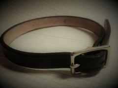 Dog Collar
