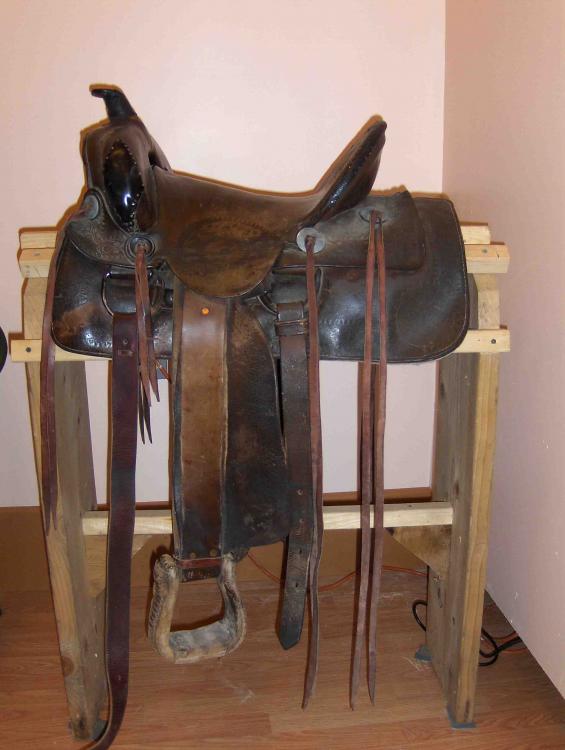 saddle small 1.jpg