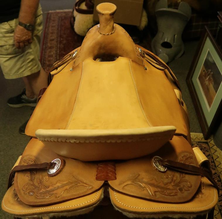 First Saddle - rear.jpg