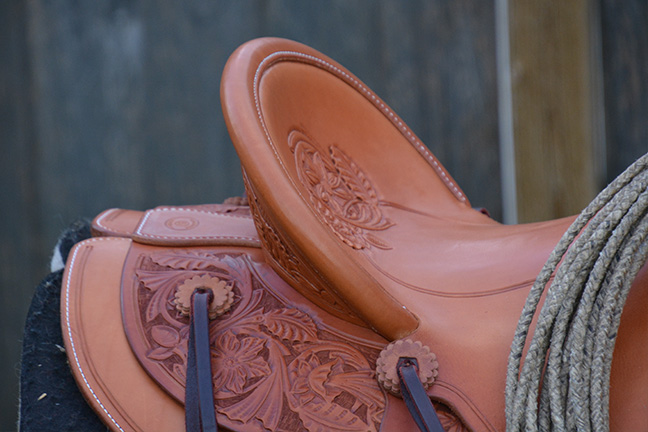 saddle04-02.jpg.415a913d0e6f5c93b623a45a75c6cdfa.jpg