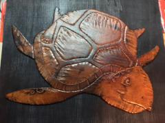 turtle.jpg