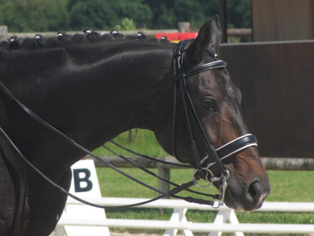 double bride de dressage en cuir rond.JPG