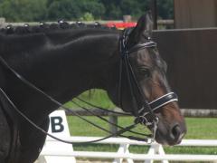 double bride de dressage en cuir rond.JPG