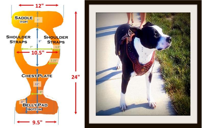 printable-dog-harness-pattern-free