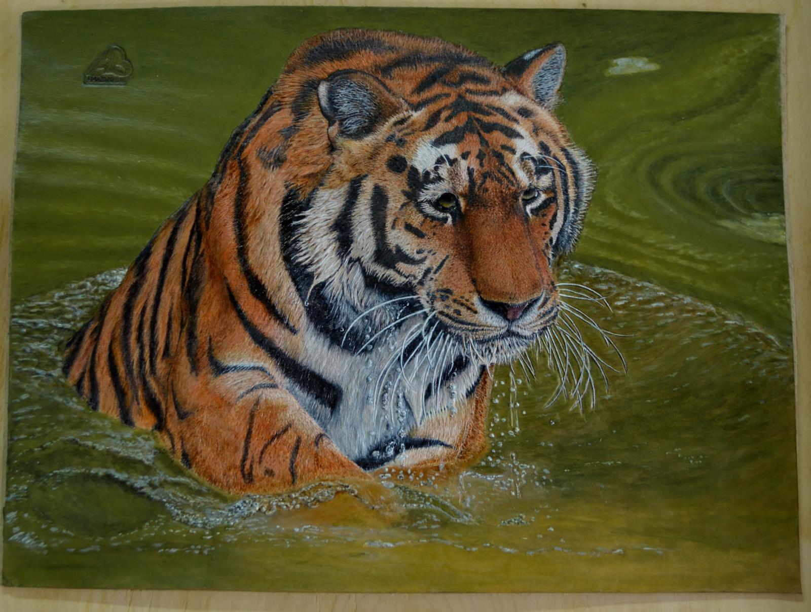 Tiger & water