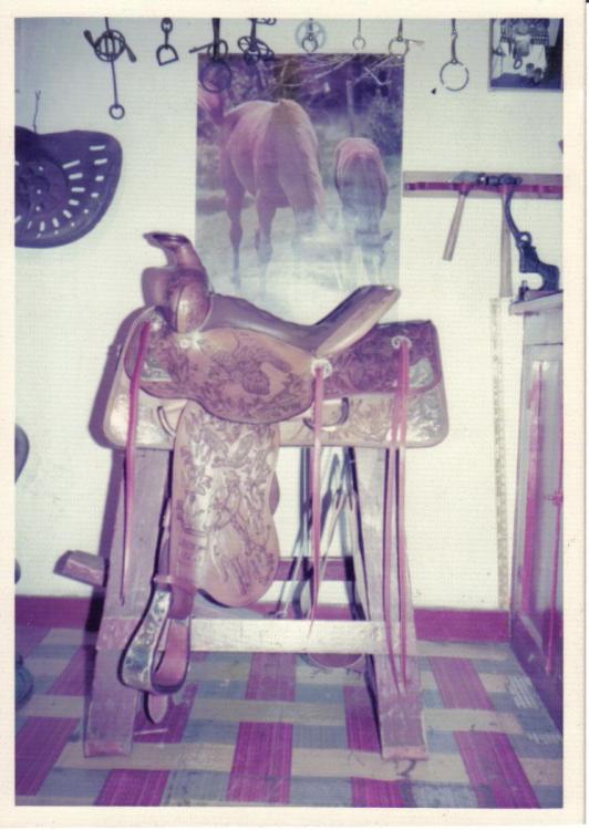 saddle in small house.jpg