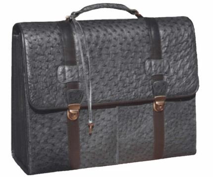 Attache Case Ostrich.jpg