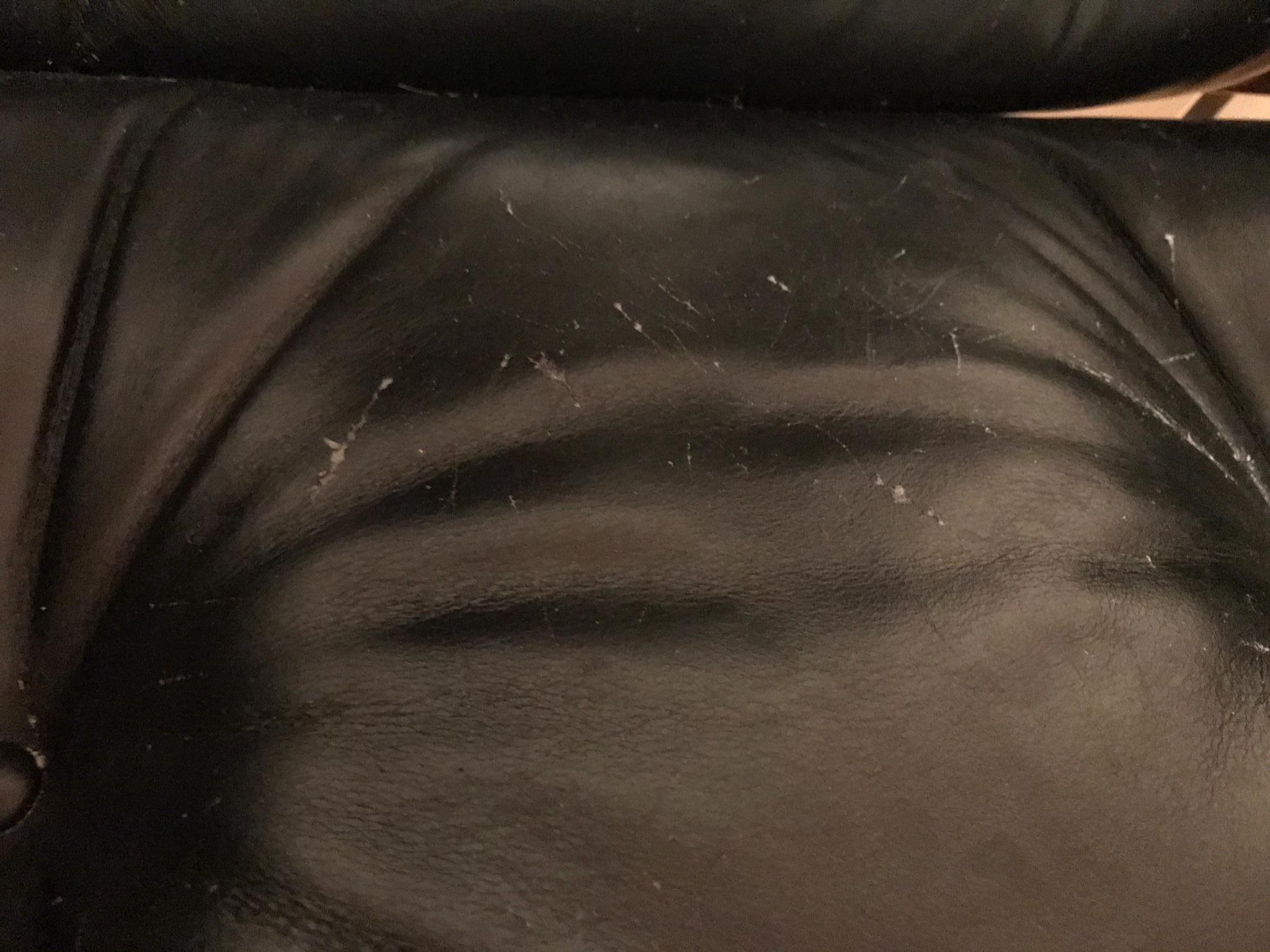 How to repair cat scratches on leather with olive oil