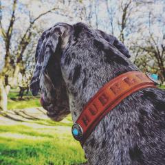 8A4A7428-D87D-4444-9112-1226021C9F02.jpeg
