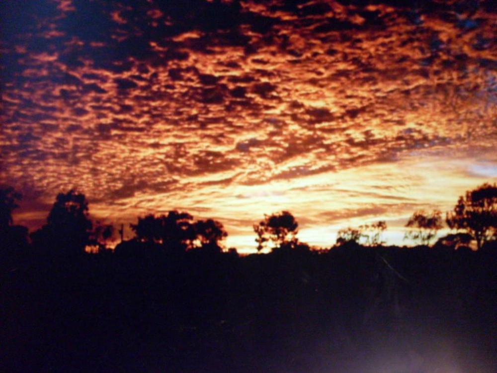 Sunrise in The Wheatbelt.jpg