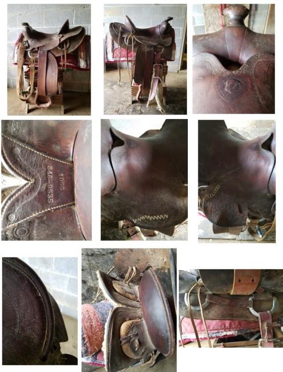 saddle collage.jpg