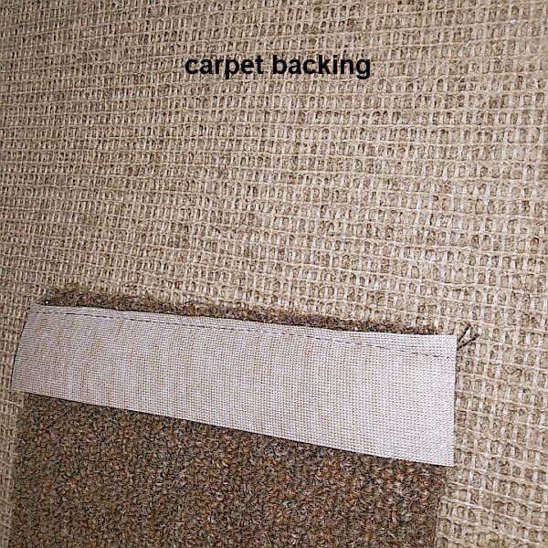 carpet.jpg.ed0c26bb3c2d9bec01cf9c55199471db.jpg