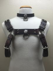 Body Harness & Collar