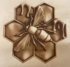 IMG_1955.jpeg