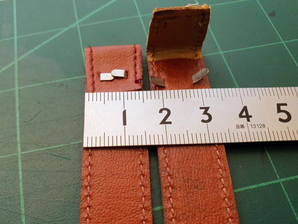 watch strap clips 1 reduced.jpg