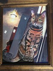 IMG_1556.jpeg