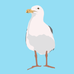 SAiNTWiLD