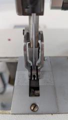 PXL_20251002_072957634.jpg