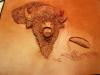 Buffalo_step_by_step_069__Small_.jpg