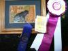 danDuchesne_County_Fair_Best_of_Show__Bear.jpg