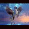 le pegasus